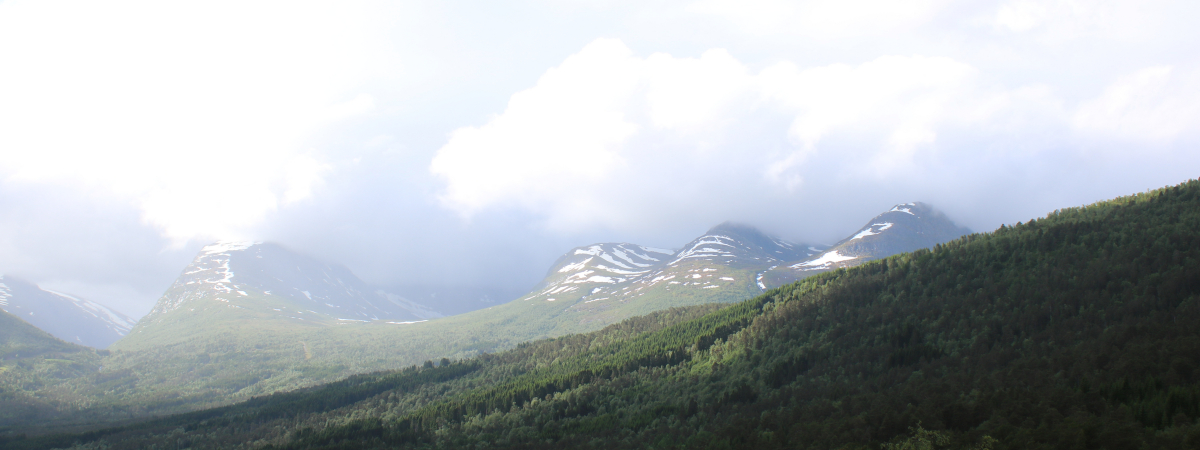 Der Mai 2024 in Norwegen - Teil I