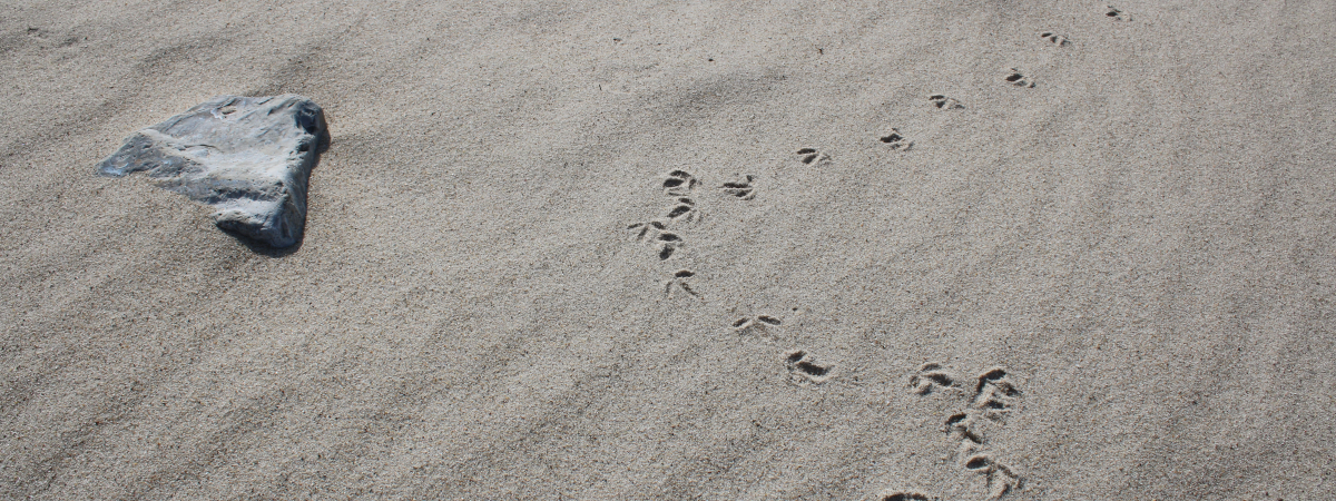 Meine „to-want‘s“ für die ersten drei Monate in 2026