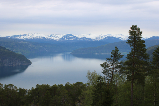 Aussichtspunkt Skørbakkane über den Innvikfjord