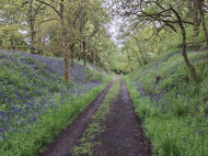 Weg nach Pitlochry
