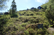 Hoch-Alm
