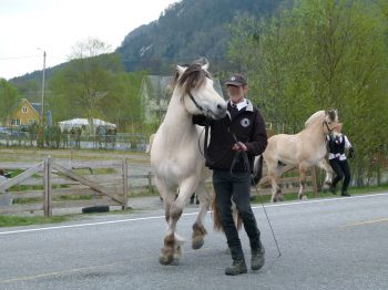 Hengstparade